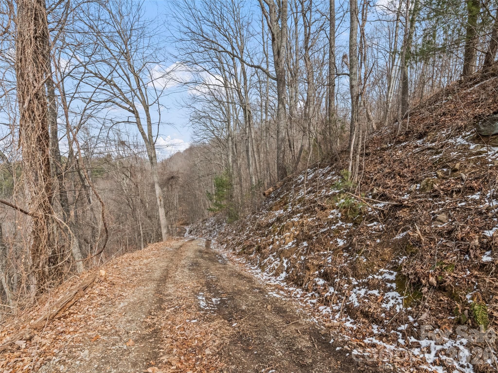 Lot at Waynesville, photo 16 of 24