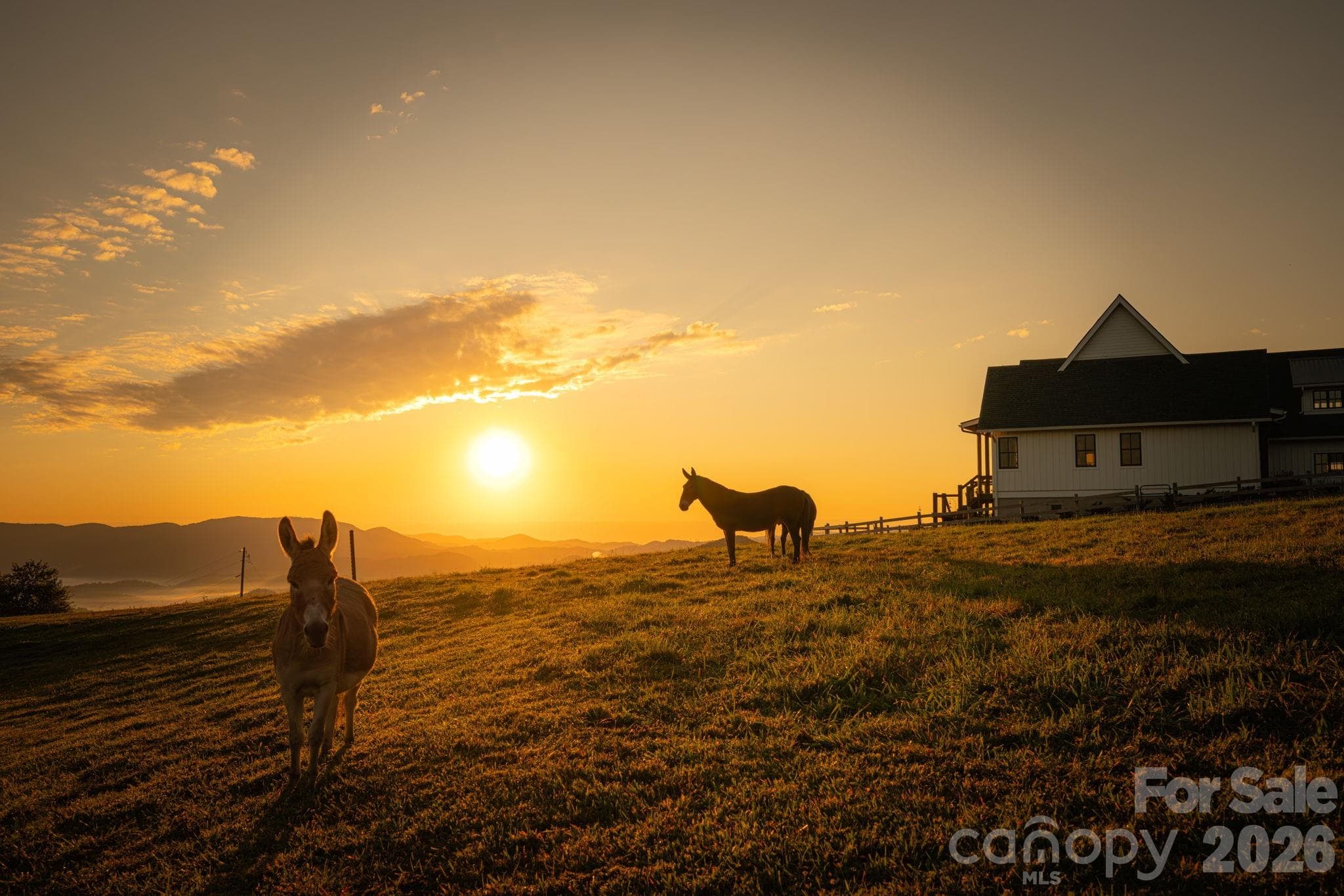 10 acre horse/hobby farm with miles of views - 217 Sunrise Vista Lane, Banner Elk