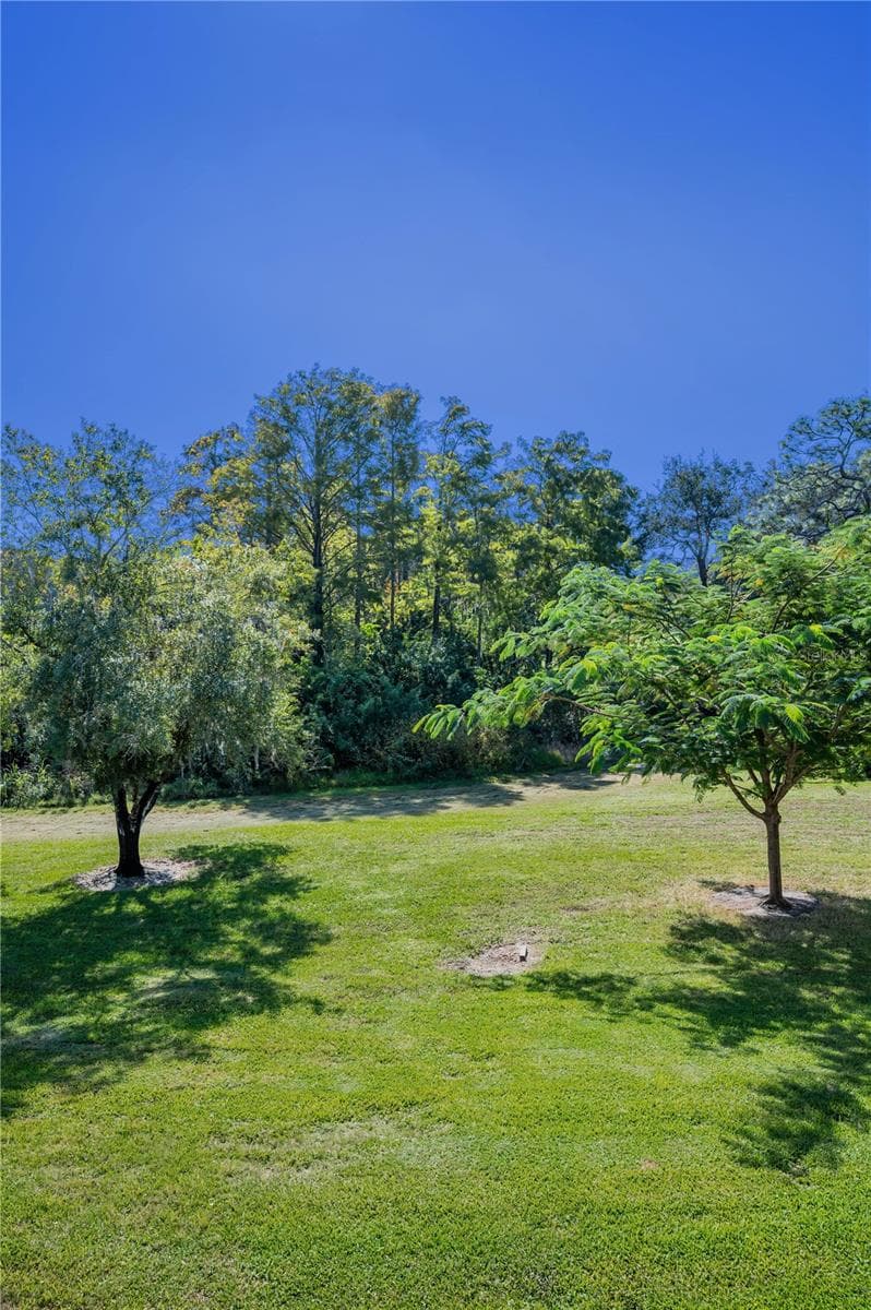 Condominium at 36750 US HIGHWAY 19 N #28-2017, PALM HARBOR, photo 67 of 69