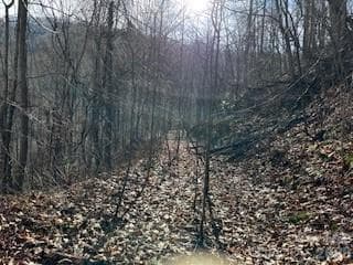 Lot at 19 Blairstone Lane, Maggie Valley, photo 5 of 6