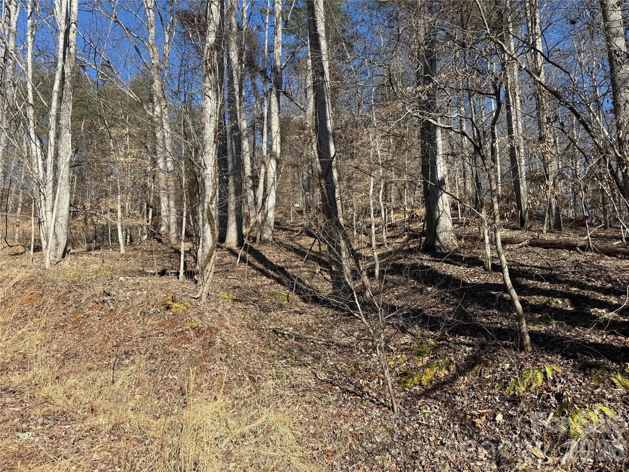 Front of Lot - 999 Echo Hill Drive, Green Mountain