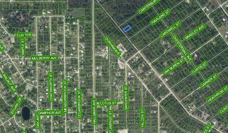 Lake Placid is a charming town located in the Heartland of Florida. - 455 NICHELE BLVD, LAKE PLACID