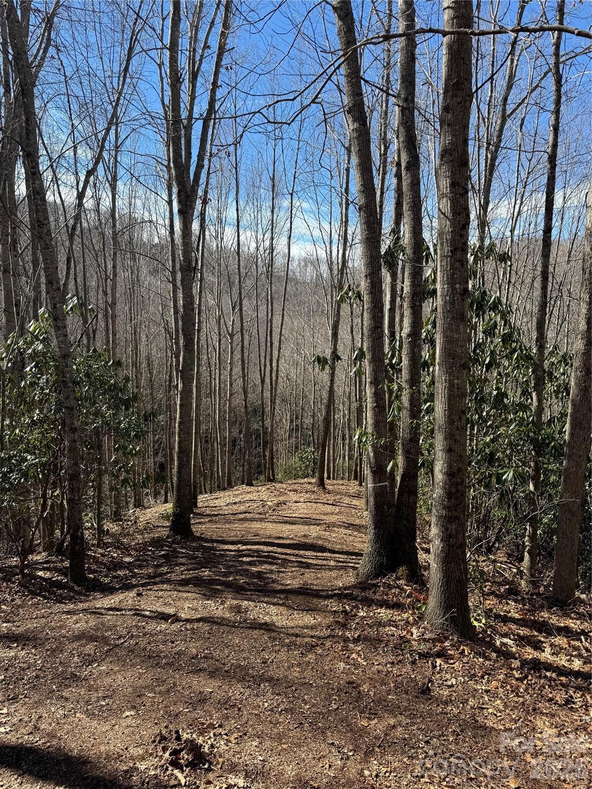 Lot at Sylva, photo 3 of 4