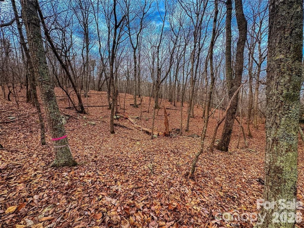 Lot at The Springs At High Rock, Denton, photo 8 of 40