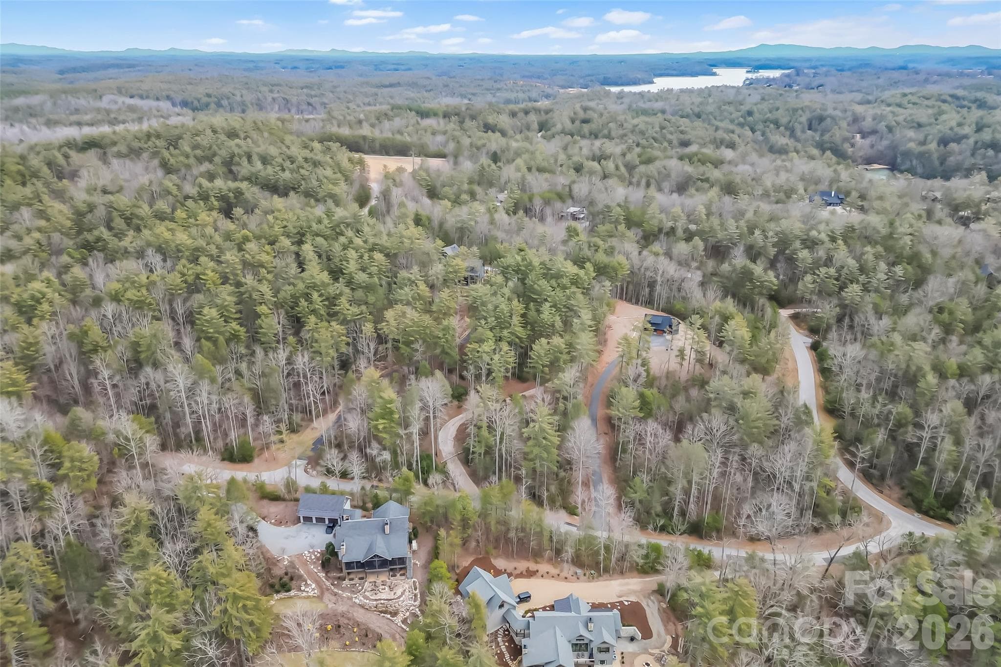 Lot at Nebo, photo 2 of 44