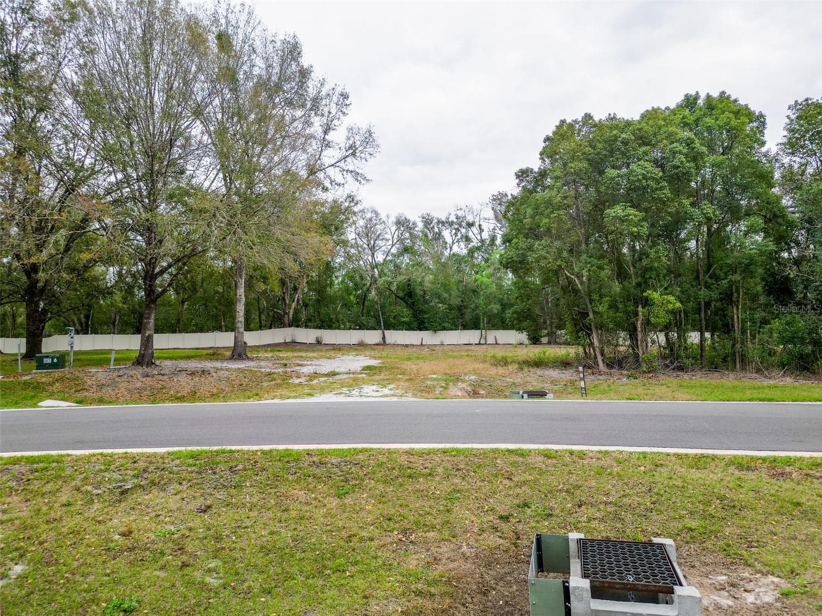 Land at 18469 PURPLE CREEK LN, LUTZ, photo 7 of 32