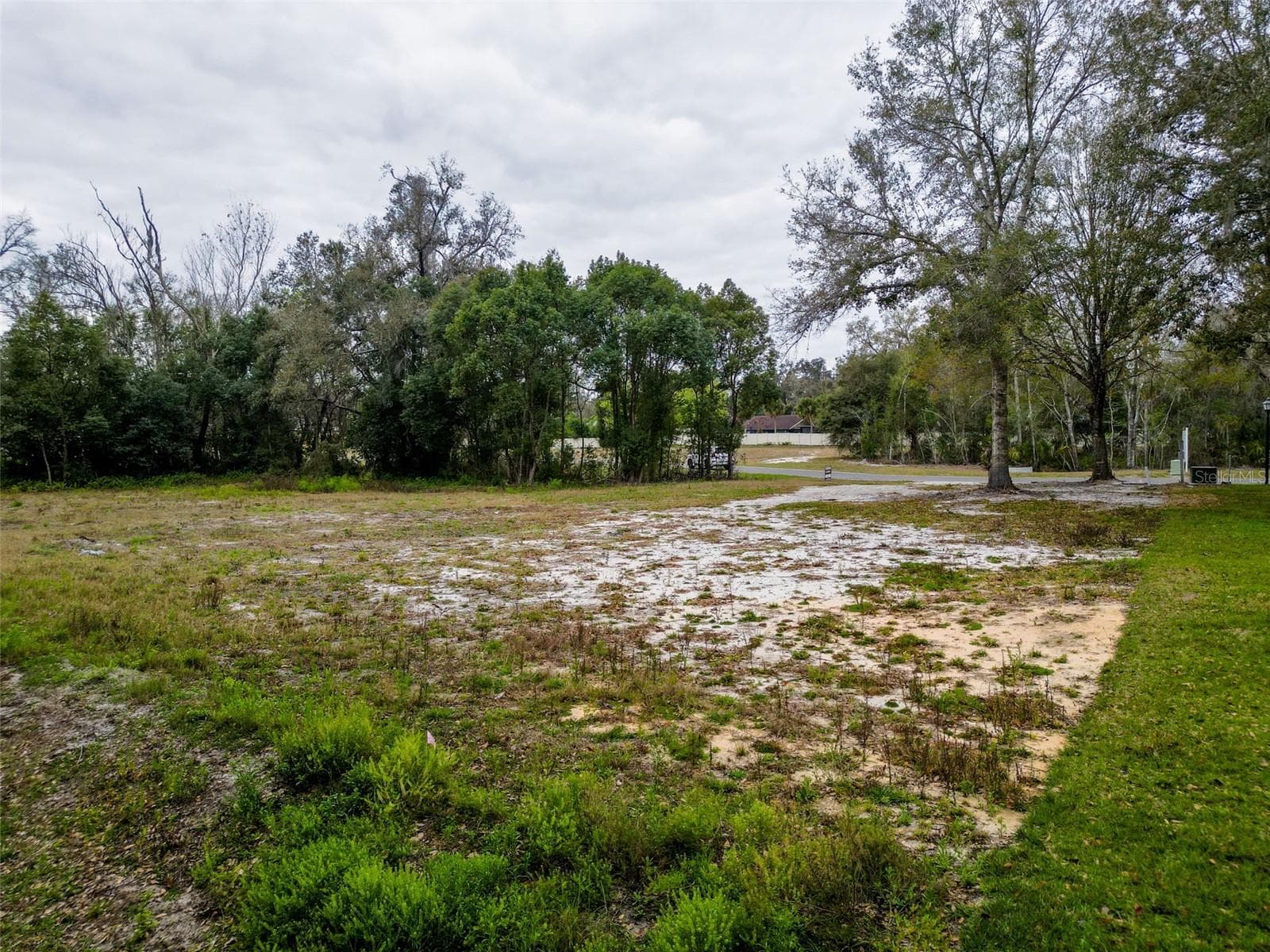 Land at 18469 PURPLE CREEK LN, LUTZ, photo 24 of 32