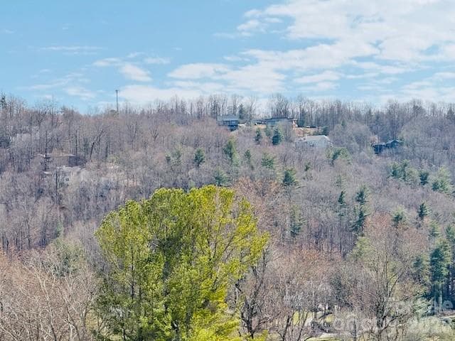 Condominium at 121 Burning Tree Lane, Flat Rock, photo 33 of 44