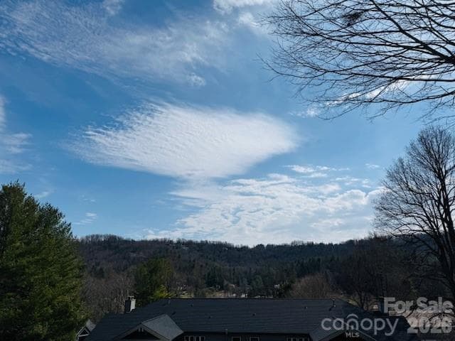 Condominium at 121 Burning Tree Lane, Flat Rock, photo 35 of 44