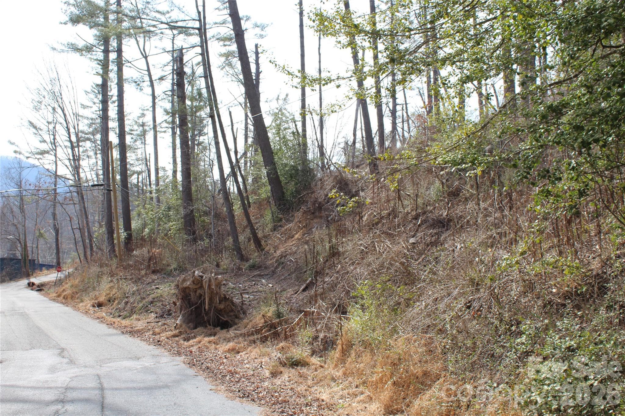 Lot at 00 Monte Vista Circle, Spruce Pine, photo 22 of 30