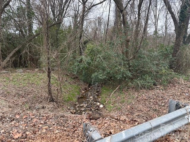 Lot at Charlotte, photo 2 of 2