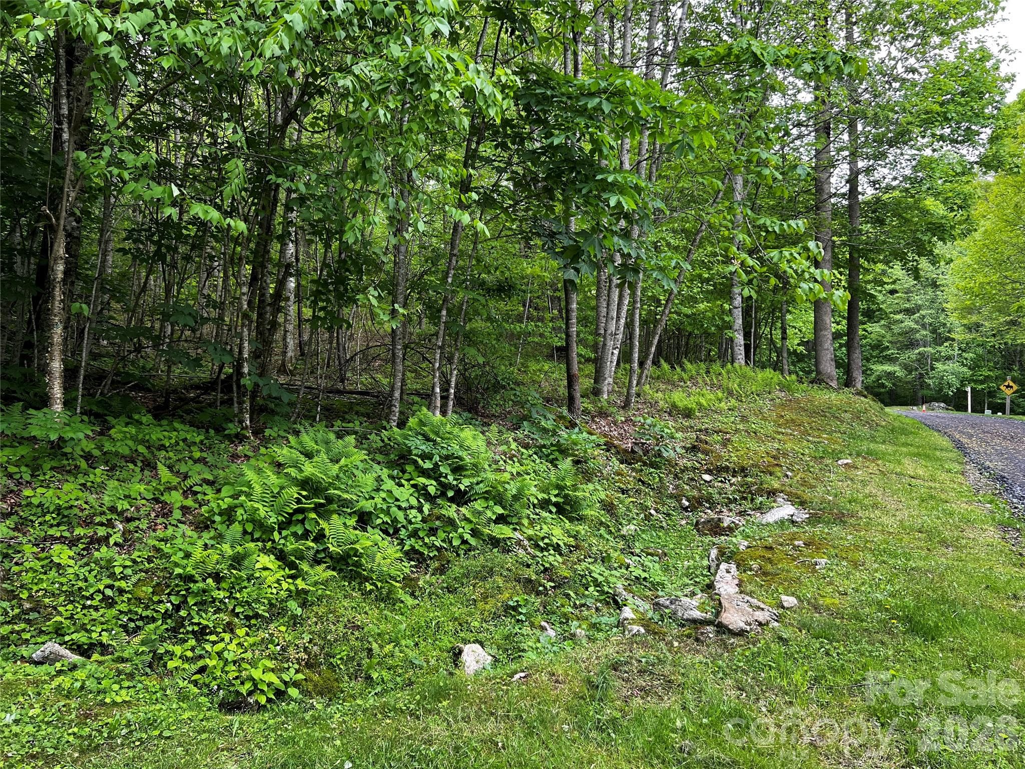 Lot at 1 Pearl Way, Mars Hill, photo 3 of 17