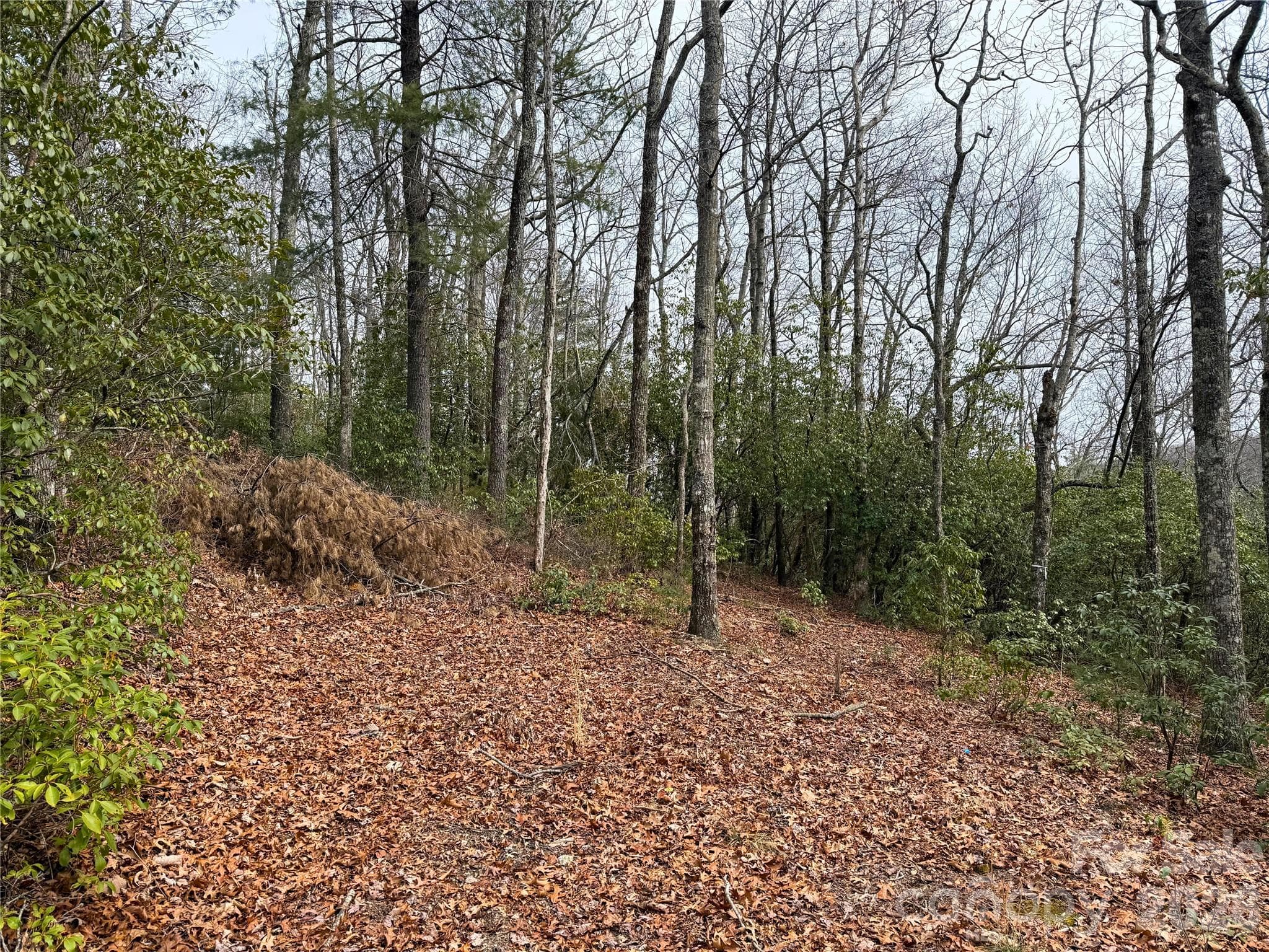 Lot at Brevard, photo 10 of 19