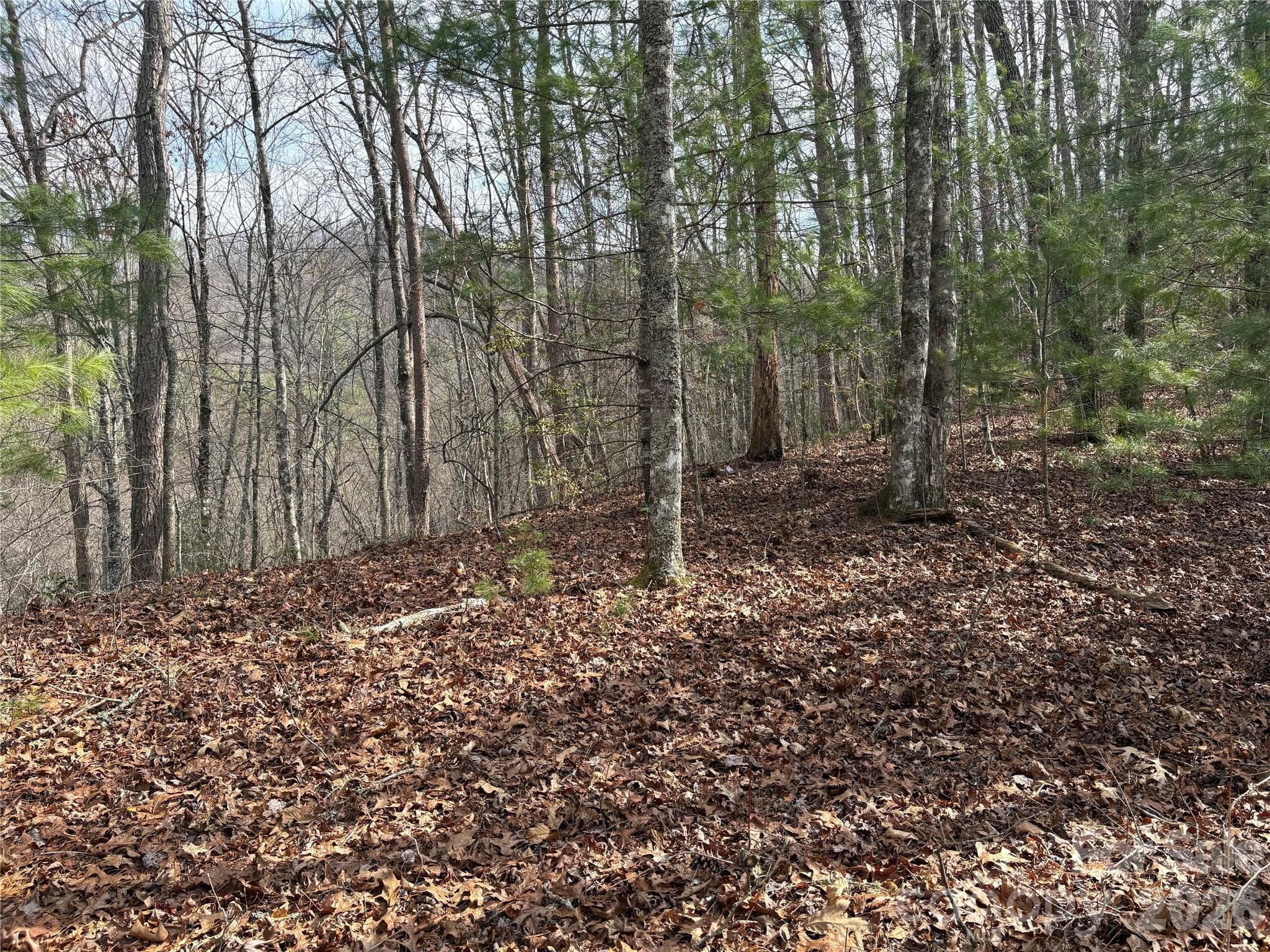 00 Round Hill Road