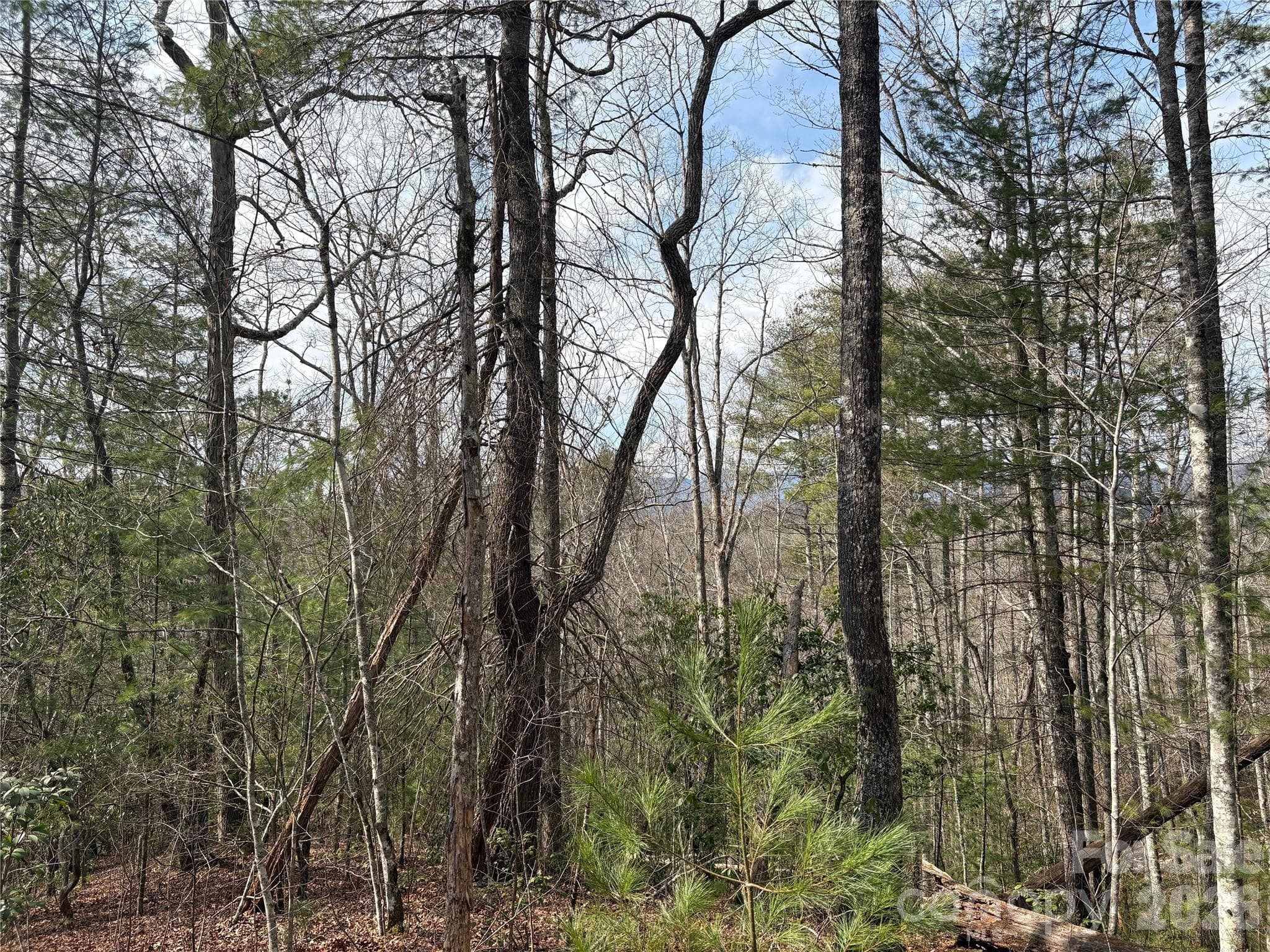Lot at 00 Round Hill Road, Bryson City, photo 8 of 27