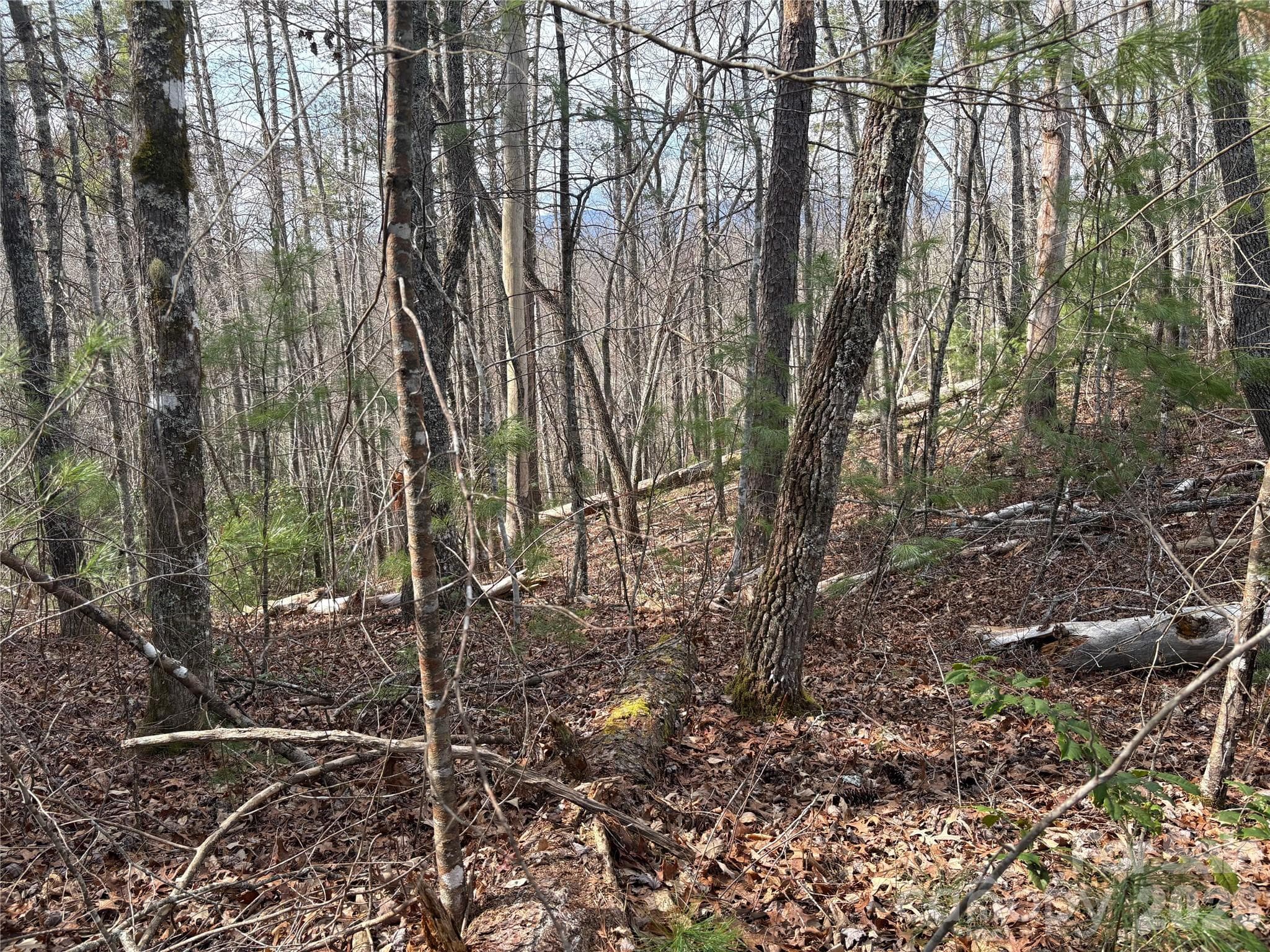 Lot at 00 Round Hill Road, Bryson City, photo 17 of 27