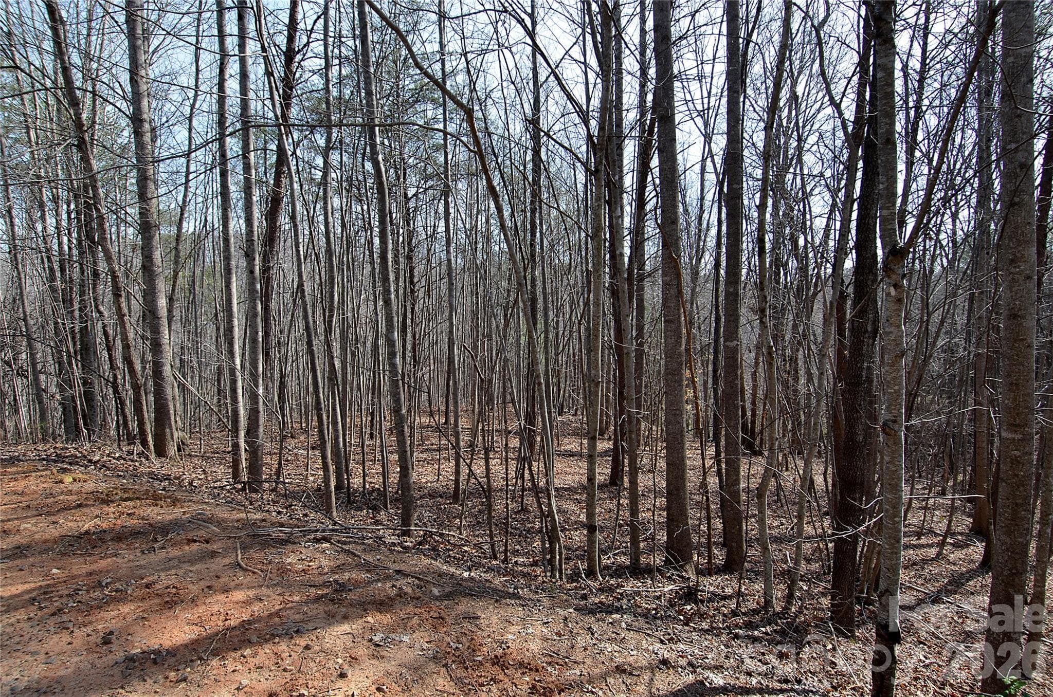 Lot at Nebo, photo 2 of 15