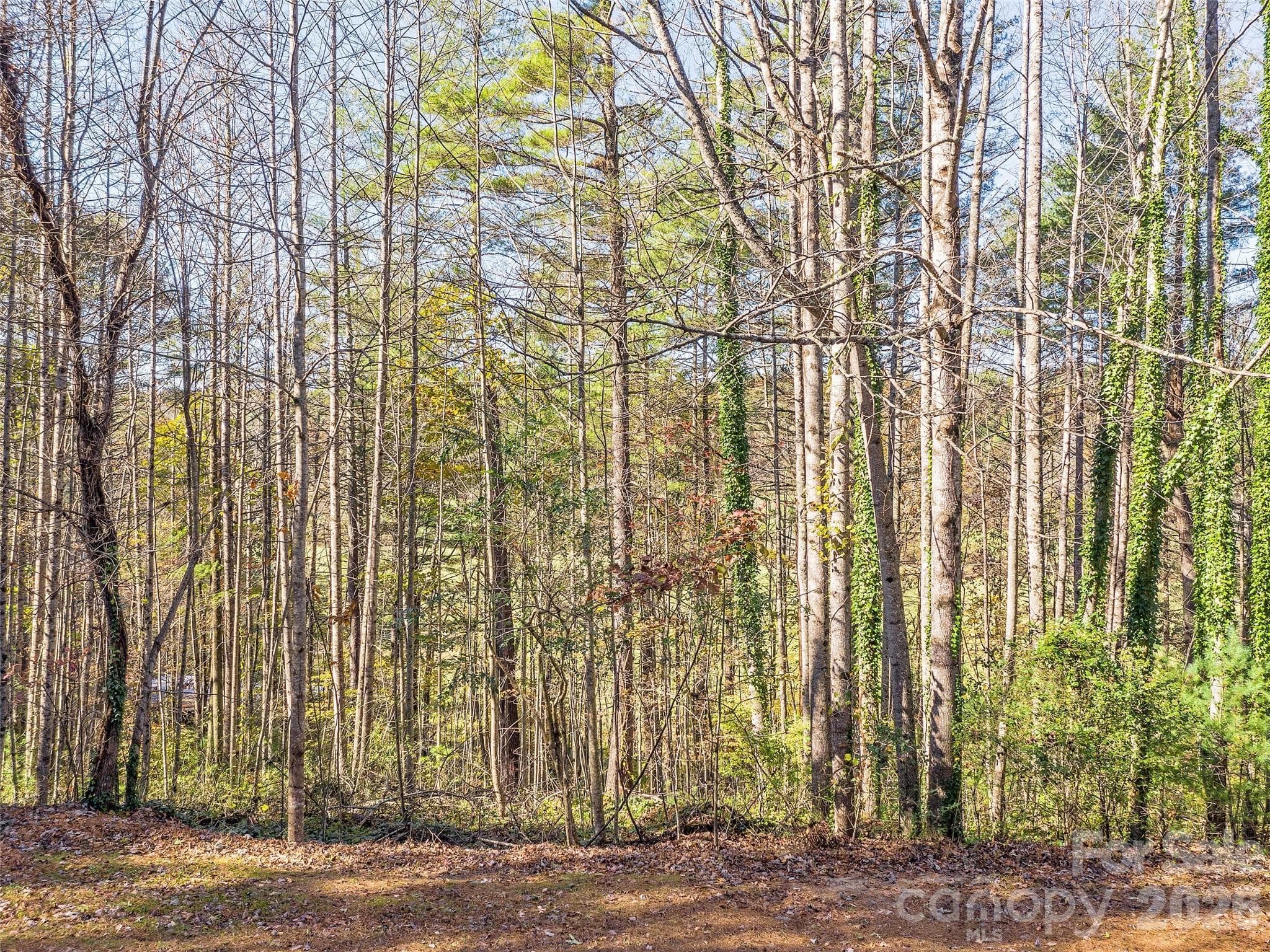 Lot at Hendersonville, photo 5 of 14