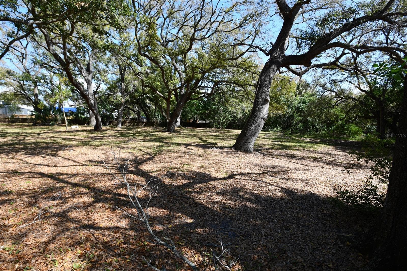 Single Family Residence at 8020 INTERBAY BLVD, TAMPA, photo 23 of 54