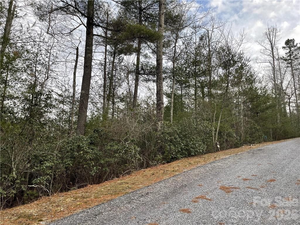 Acreage at 55 Boone Cove Road, Zirconia, photo 2 of 12