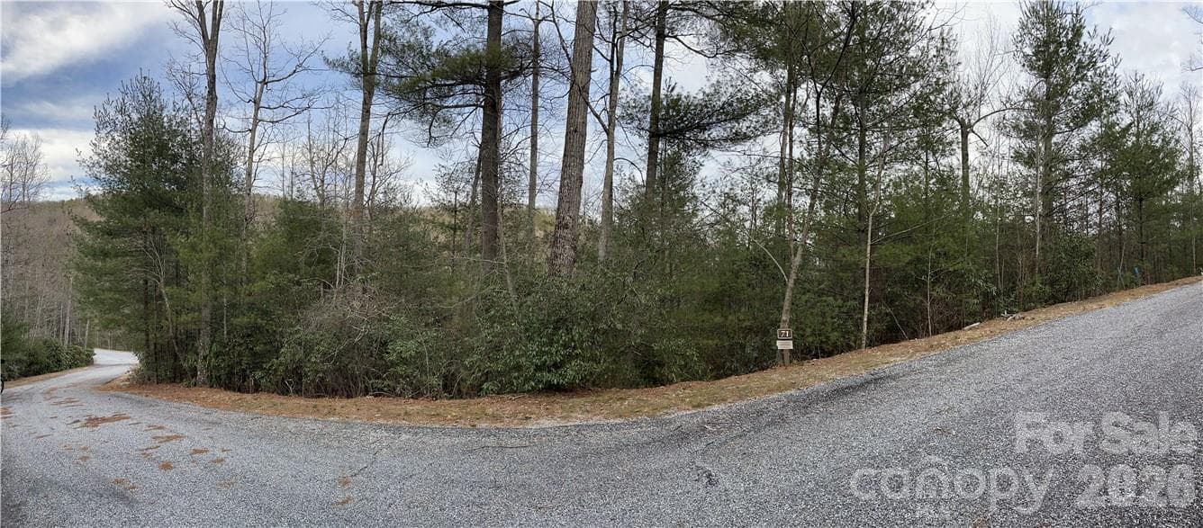 Acreage at 55 Boone Cove Road, Zirconia, photo 3 of 12