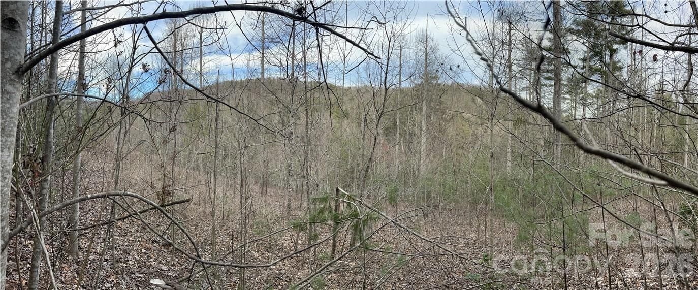 Acreage at 55 Boone Cove Road, Zirconia, photo 4 of 12