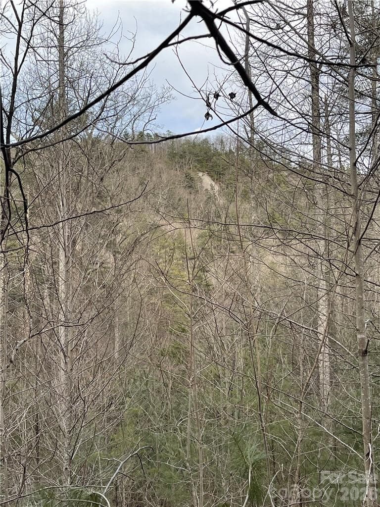 Acreage at 55 Boone Cove Road, Zirconia, photo 5 of 12