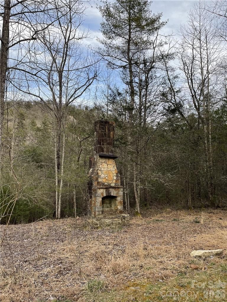 Acreage at 55 Boone Cove Road, Zirconia, photo 6 of 12