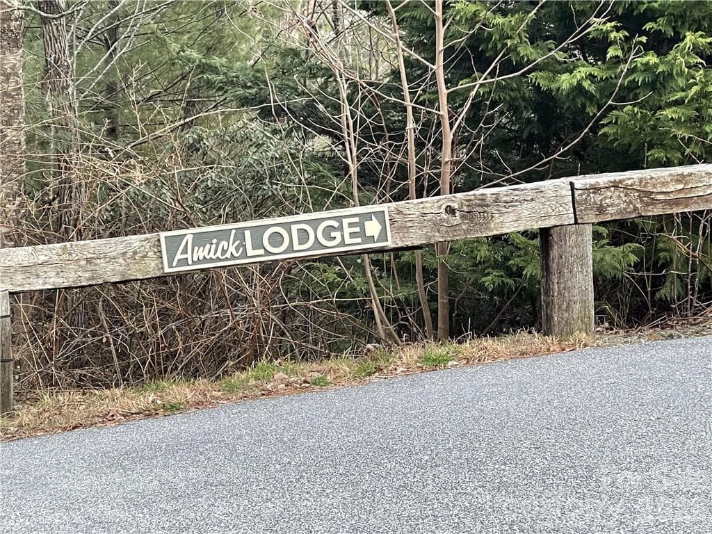 Acreage at 55 Boone Cove Road, Zirconia, photo 11 of 12