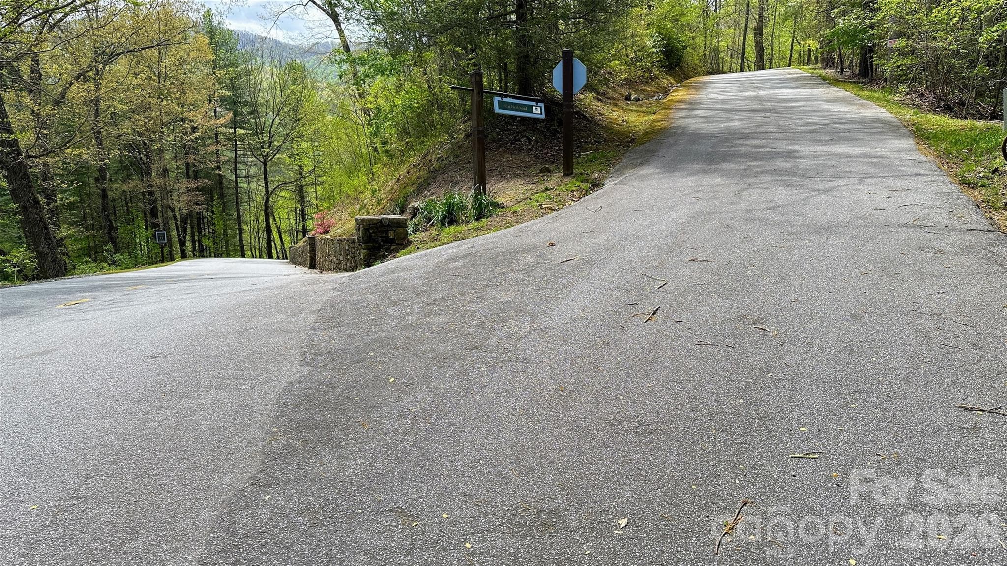 Intersection of Lake Forest Drive and Oat Field Road. - 0000 Oat Field Road, Tuckasegee