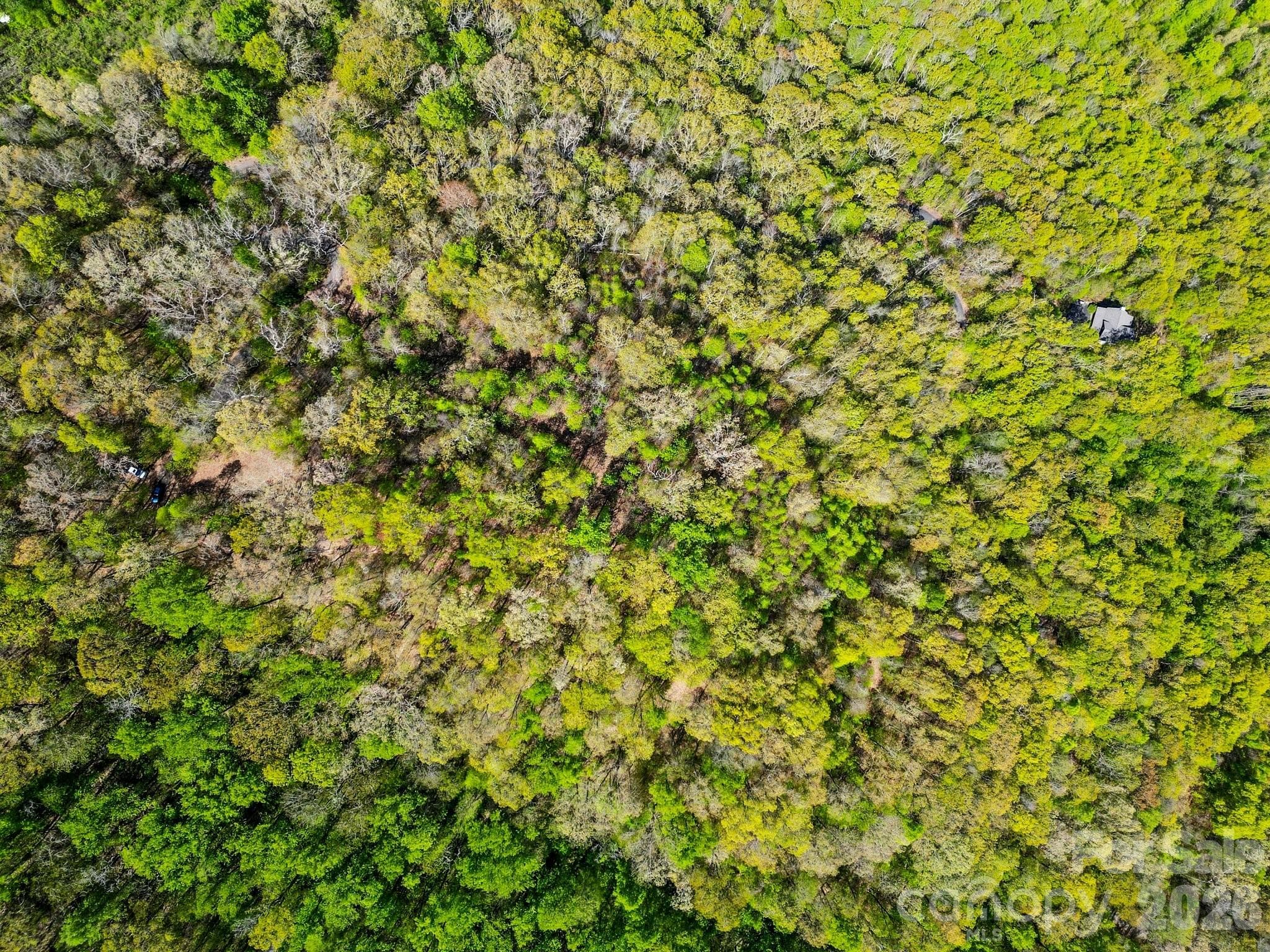 Drone shot of the home site. - 0000 Oat Field Road, Tuckasegee