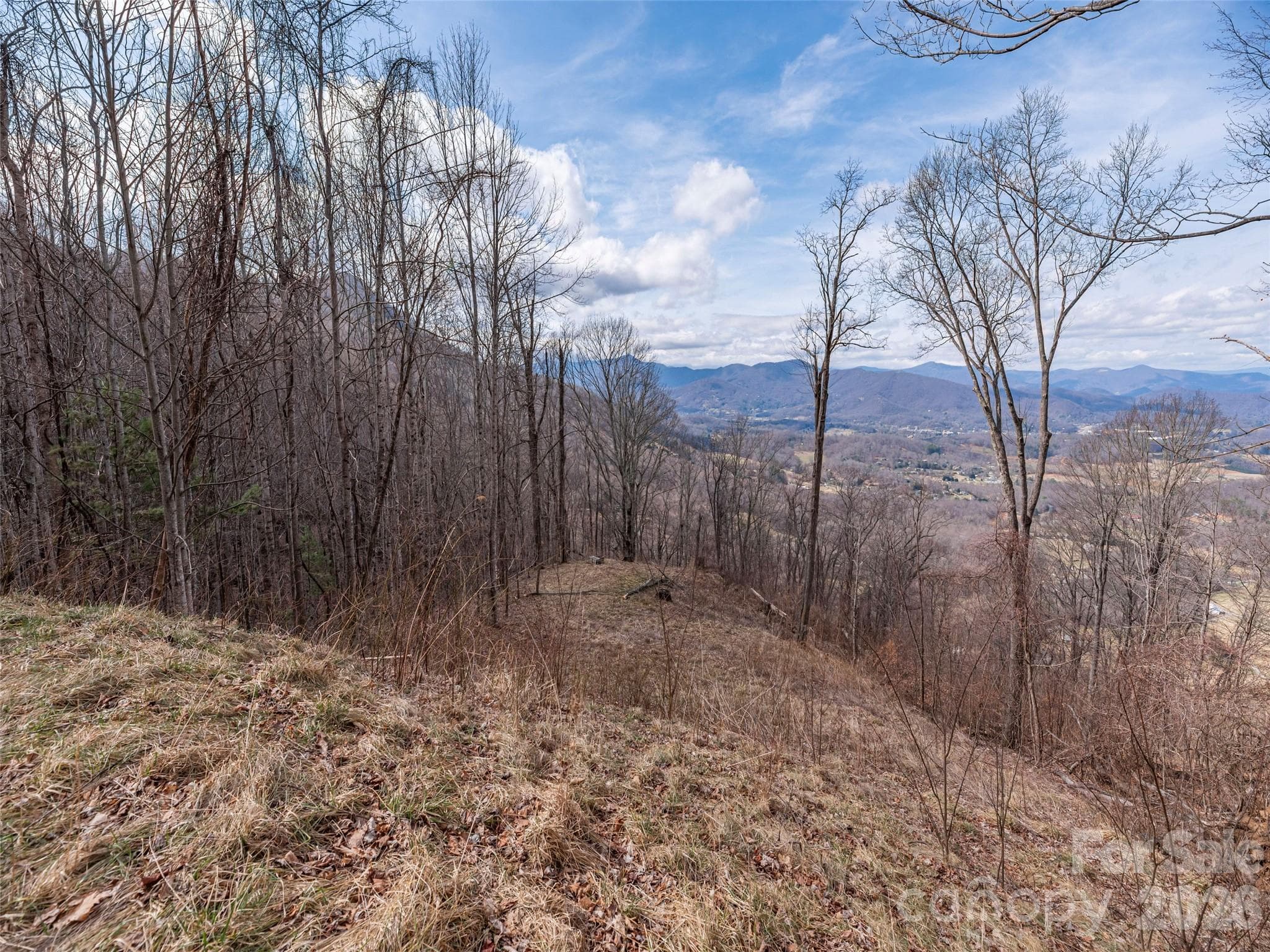 Acreage at 399 Goodson Spring Road, Waynesville, photo 16 of 29