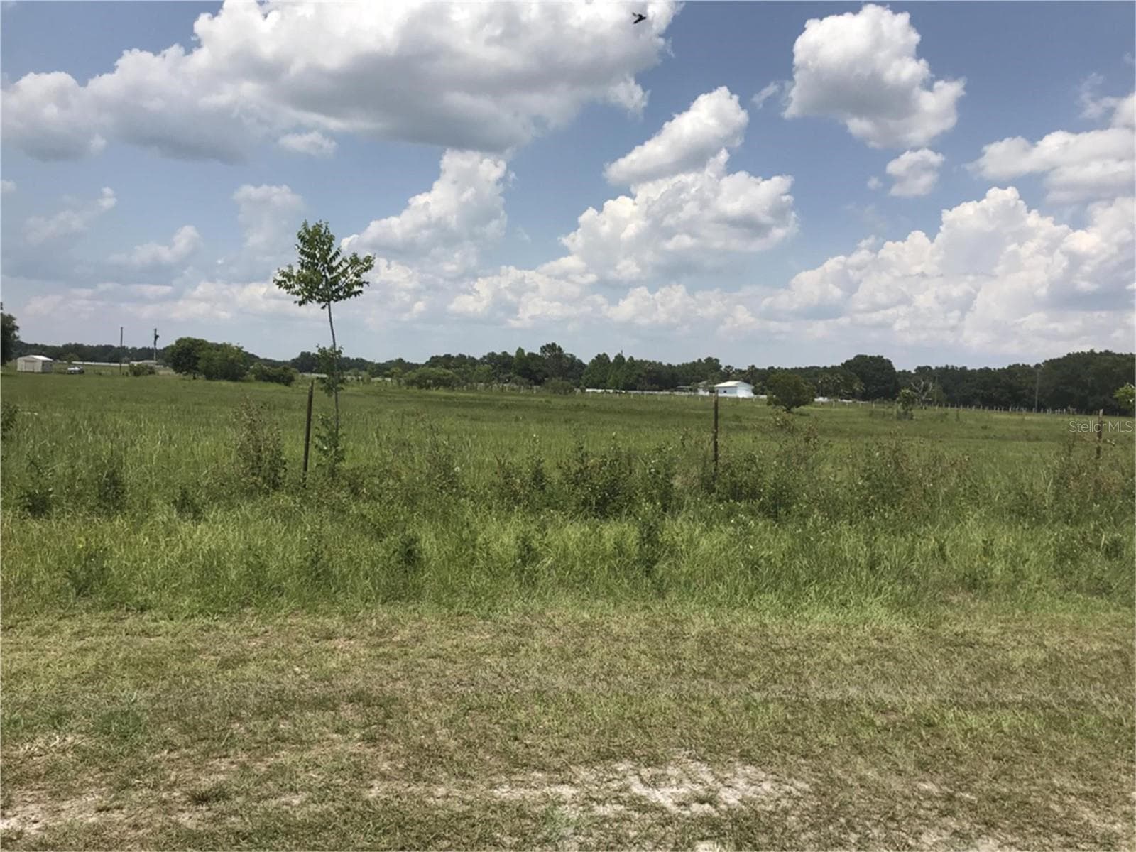 Land at 000000- CR 614A, BUSHNELL, photo 3 of 19