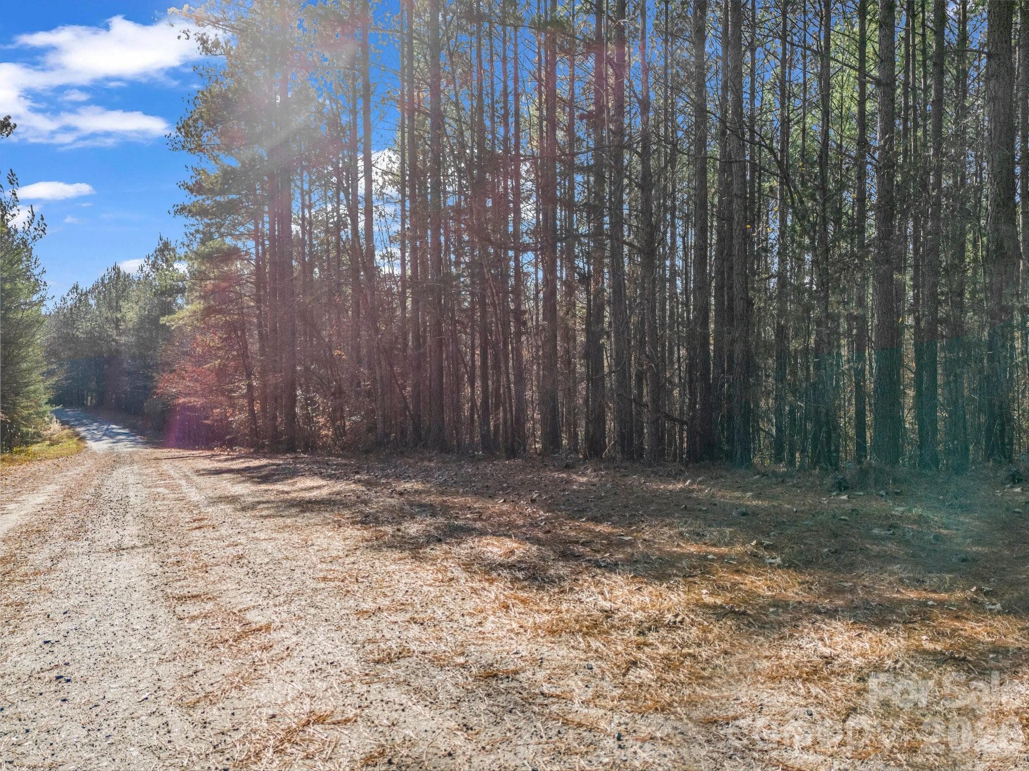 Gravel Roads going in, but wait until you see how nicely it lays! - 0 Farmer Johns Trail, Rutherfordton