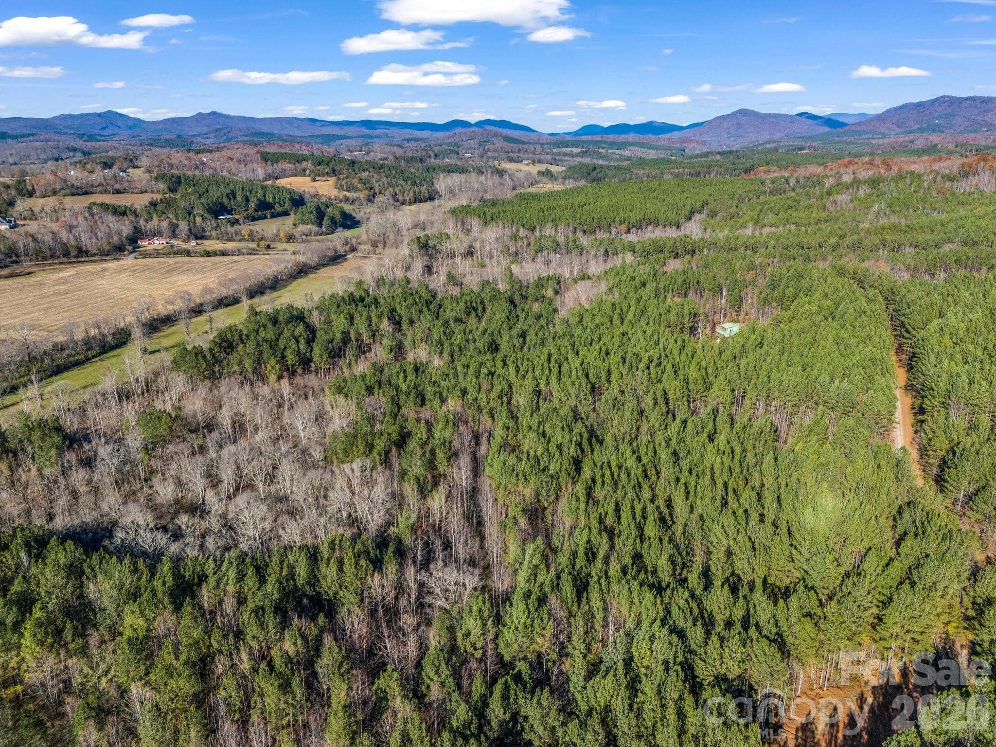 Lot at 0 Farmer Johns Trail, Rutherfordton, photo 6 of 28