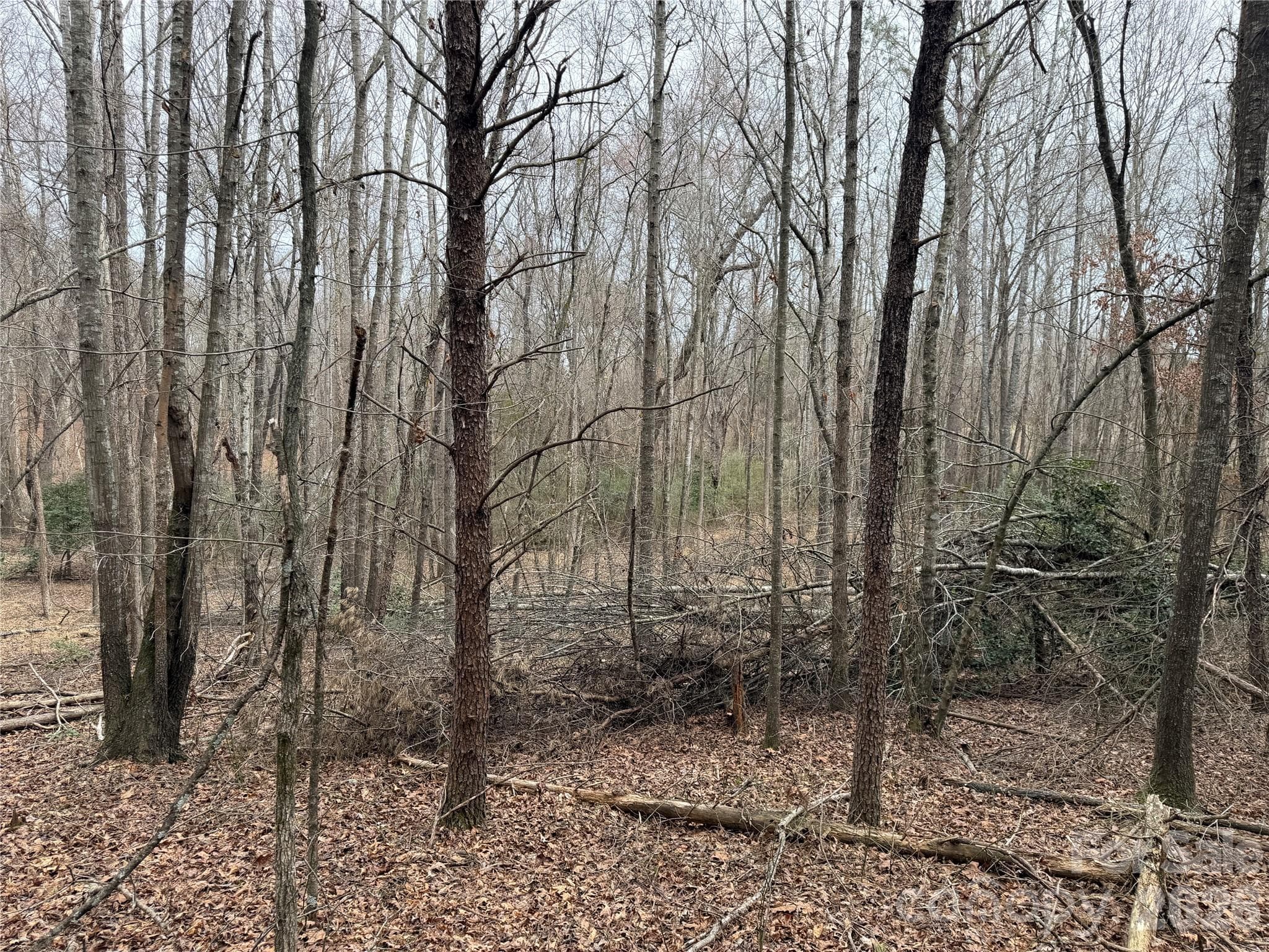 Acreage at 2431 Camp Creek Church Road, Mooresboro, photo 11 of 12
