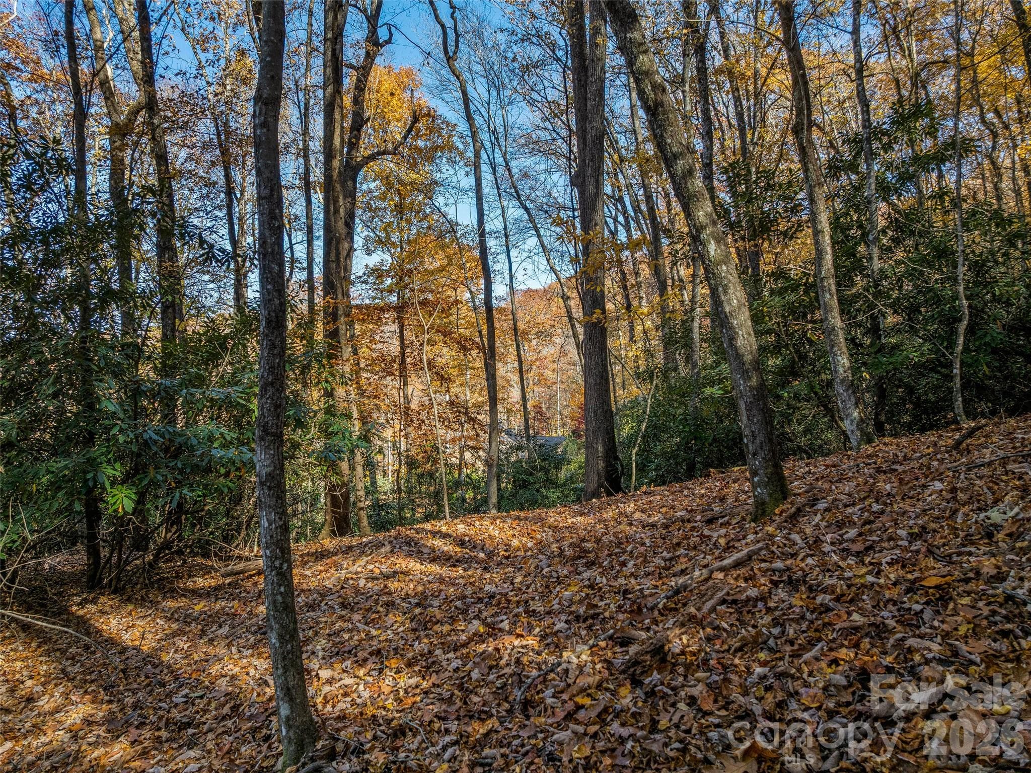 Lot at 241 Skye Drive, Pisgah Forest, photo 2 of 26