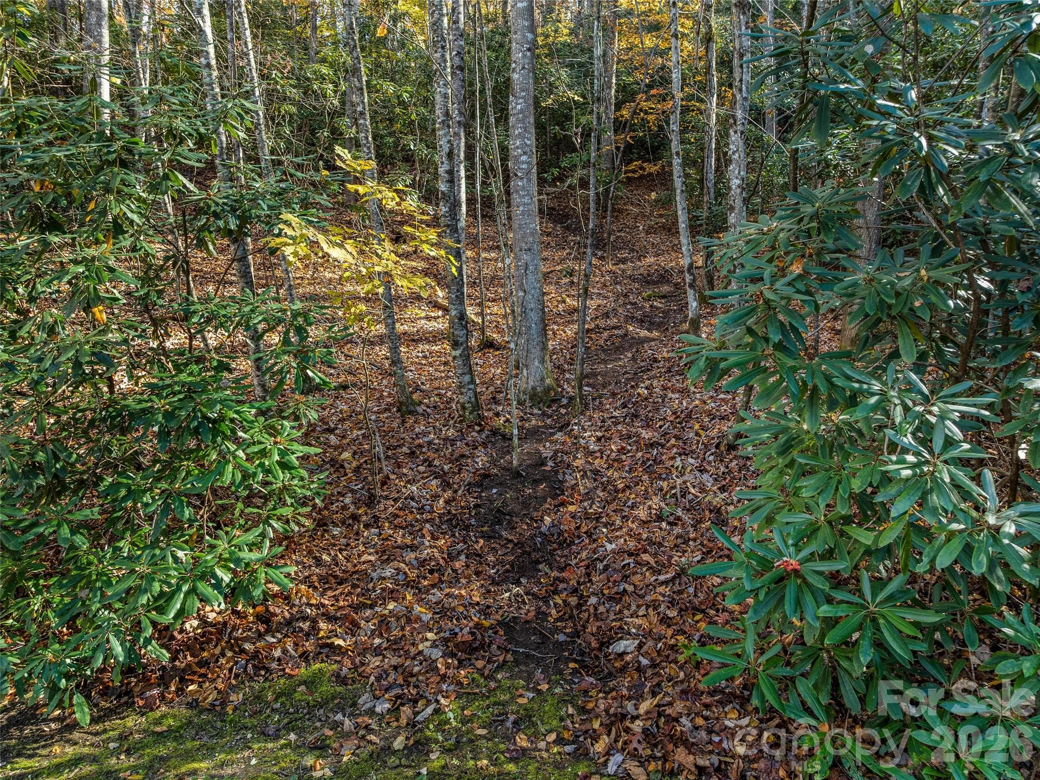 Lot at 241 Skye Drive, Pisgah Forest, photo 5 of 26