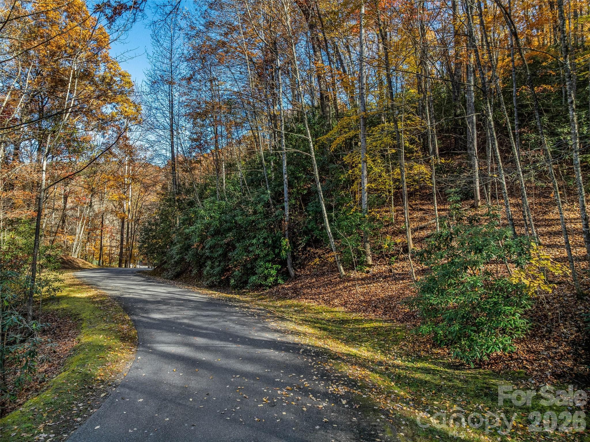 Lot at 241 Skye Drive, Pisgah Forest, photo 7 of 26