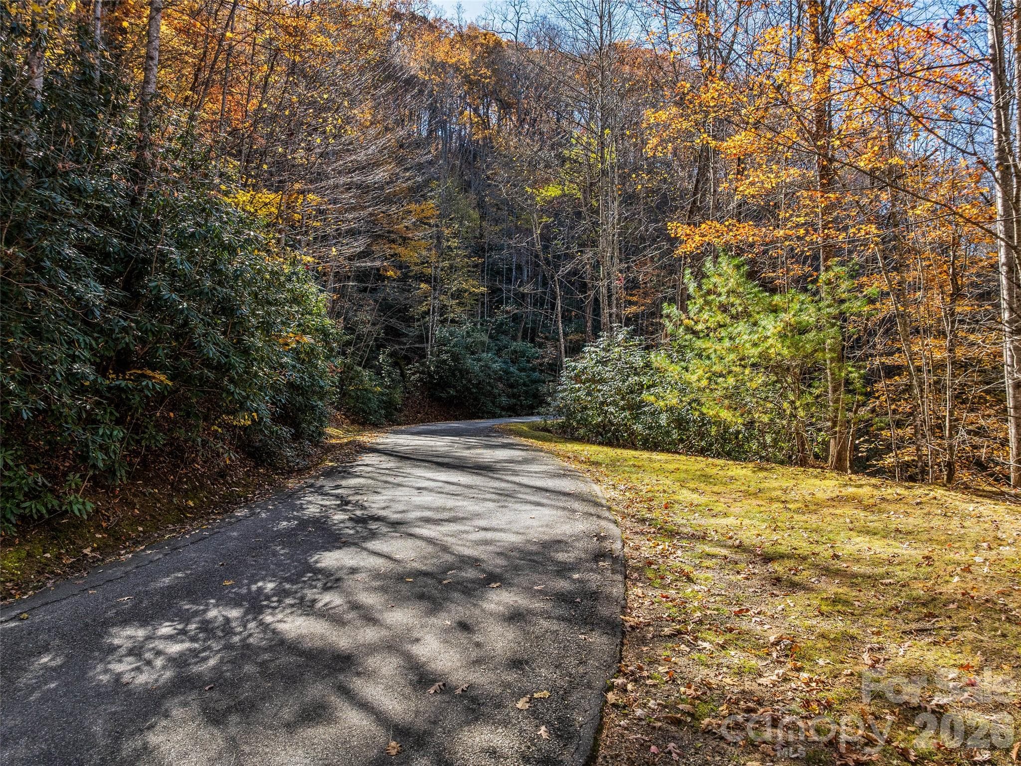 Lot at 241 Skye Drive, Pisgah Forest, photo 8 of 26