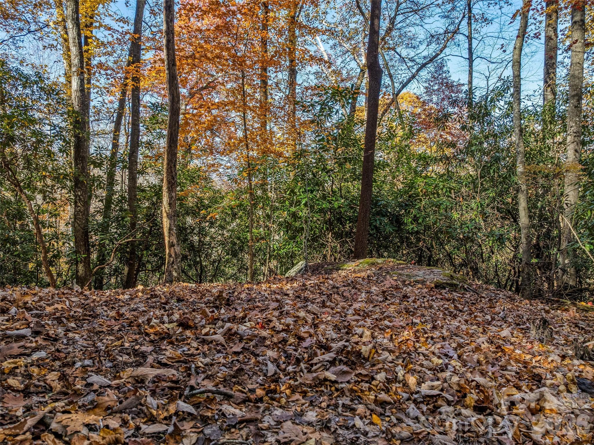 Lot at 241 Skye Drive, Pisgah Forest, photo 10 of 26