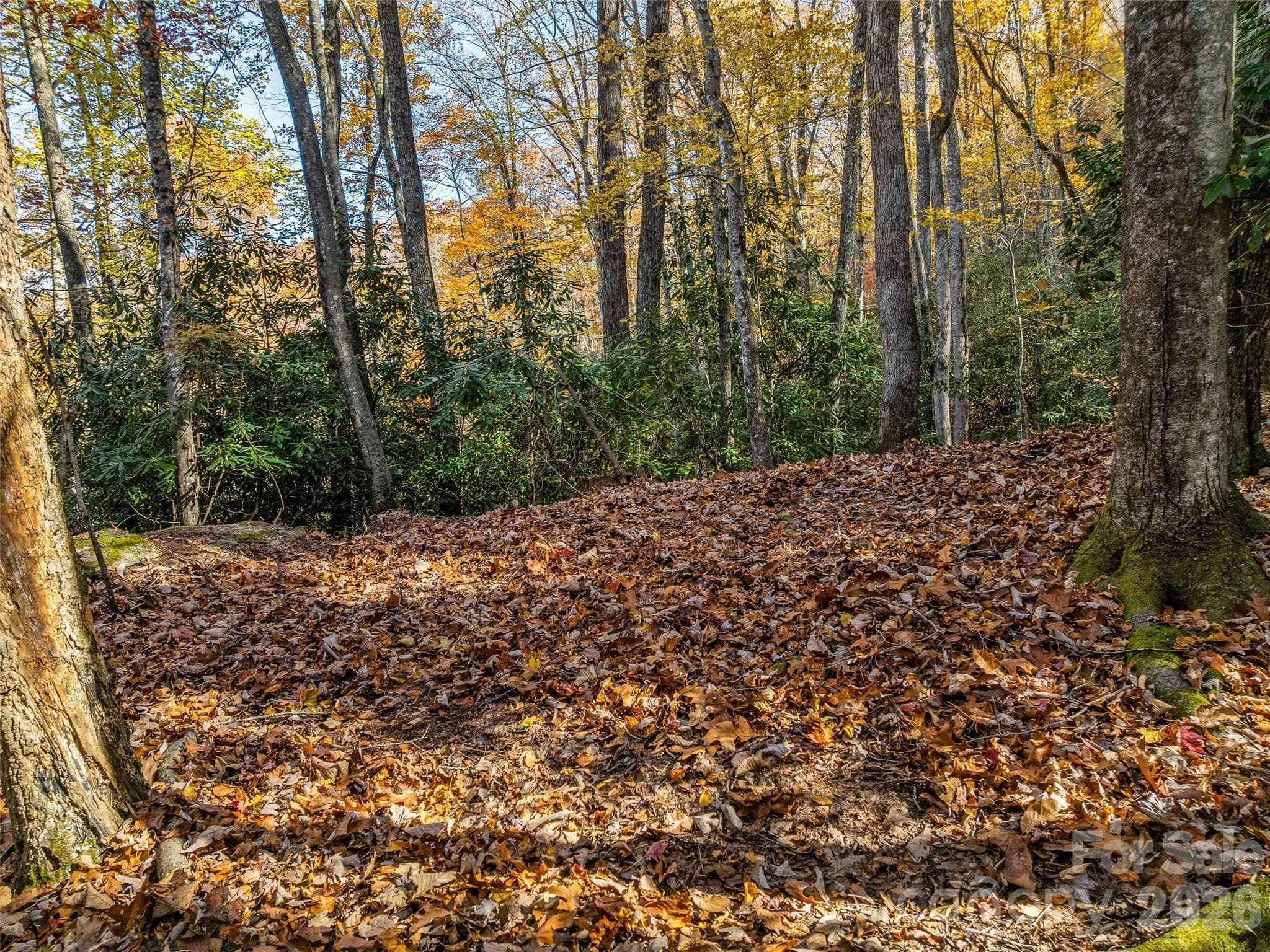 Lot at 241 Skye Drive, Pisgah Forest, photo 12 of 26