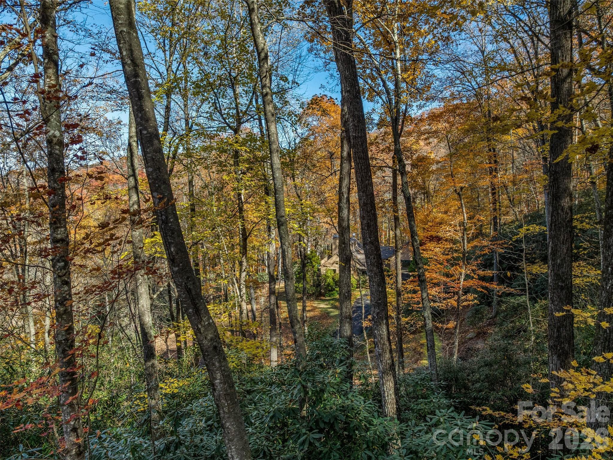 View to Neighbor's Property - 241 Skye Drive, Pisgah Forest