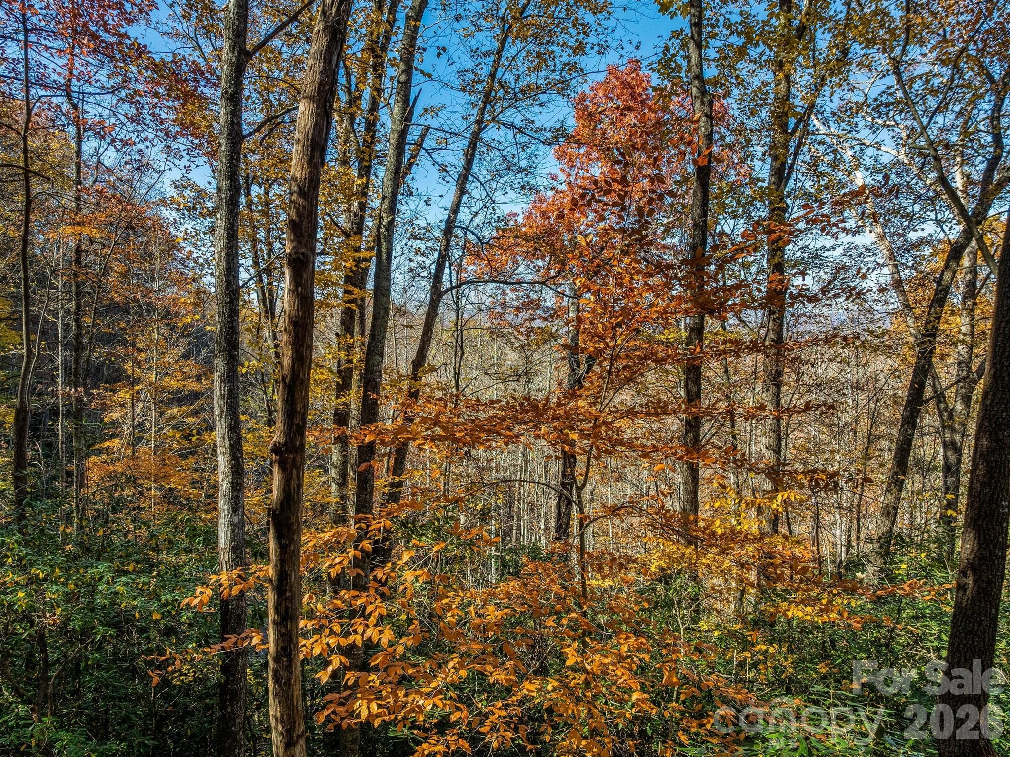 Lot at 241 Skye Drive, Pisgah Forest, photo 23 of 26