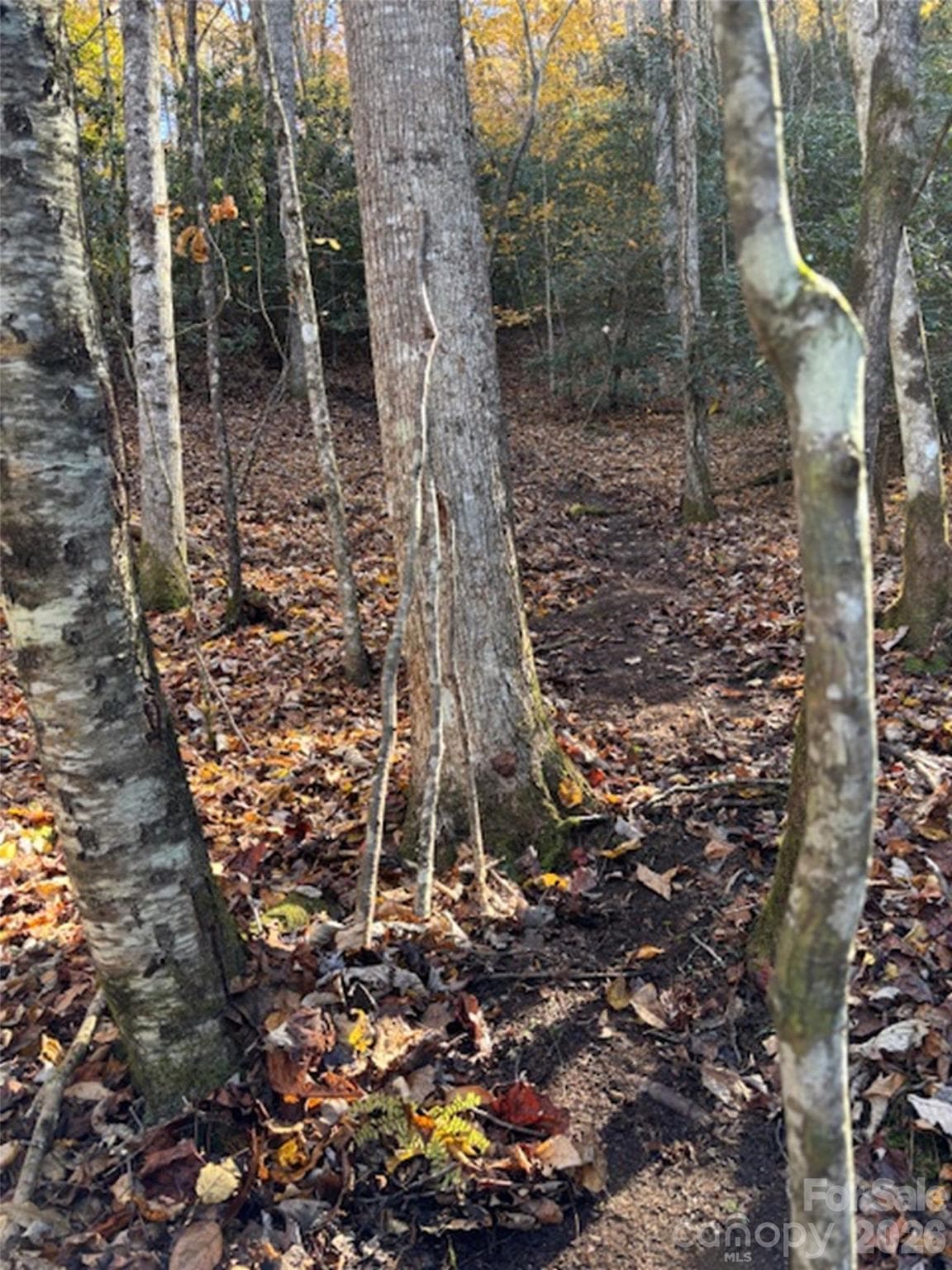 Lot at 241 Skye Drive, Pisgah Forest, photo 24 of 26