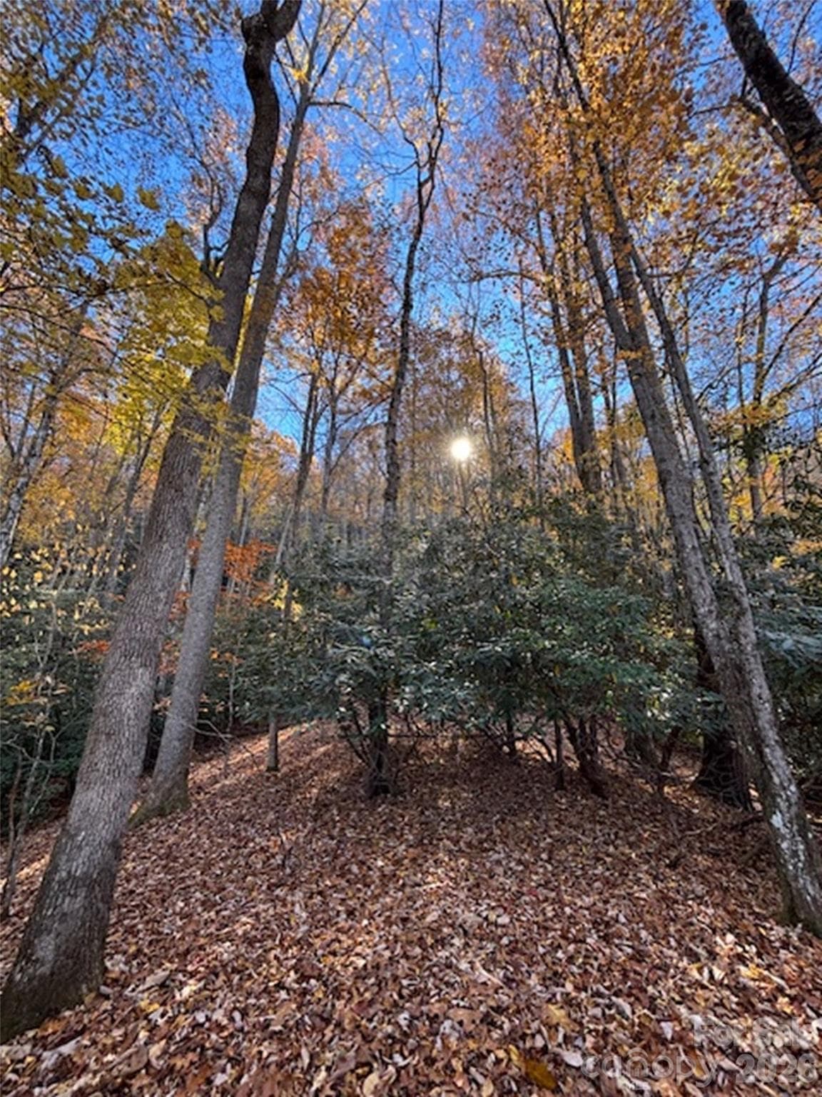 Lot at 241 Skye Drive, Pisgah Forest, photo 25 of 26