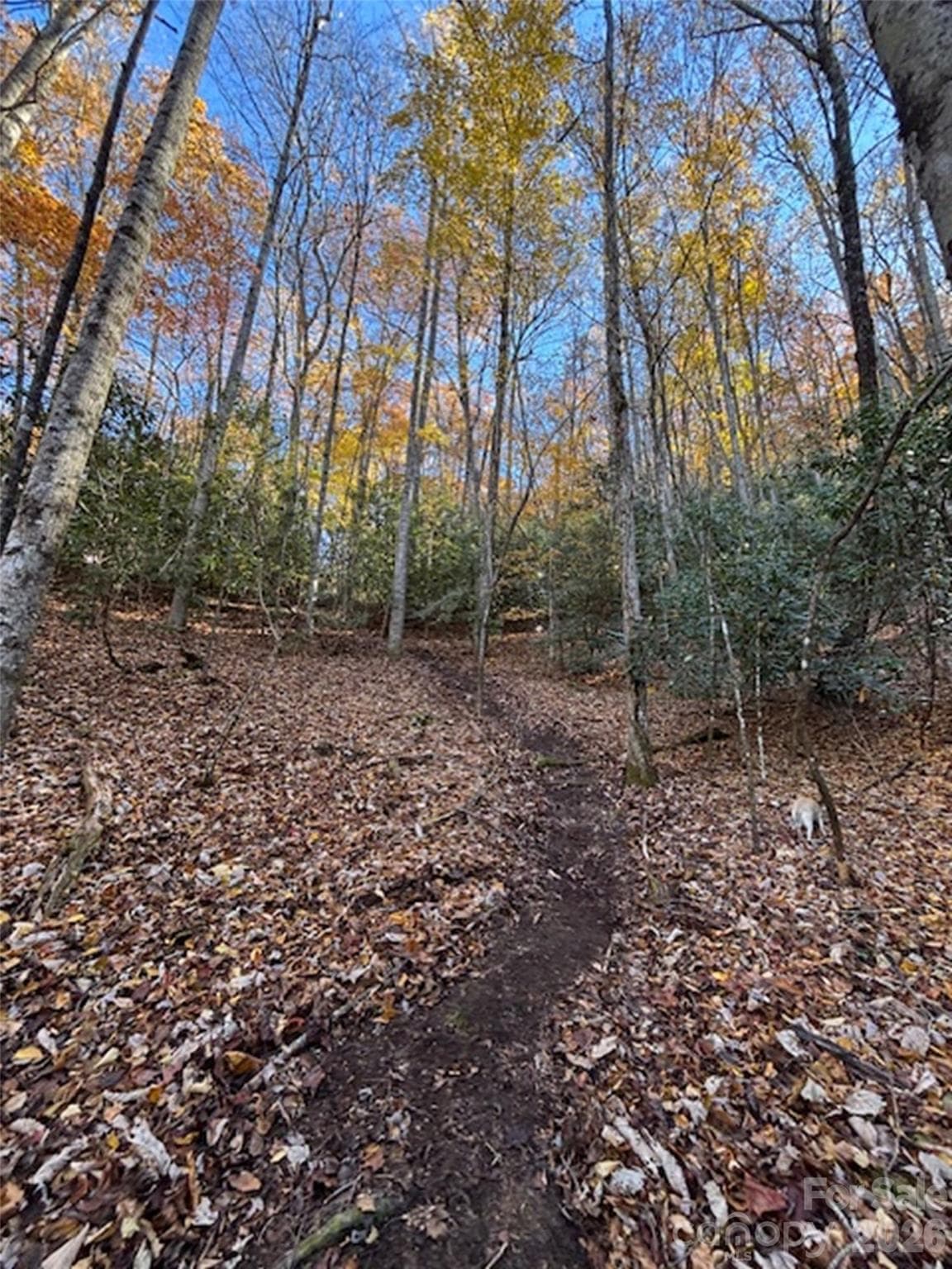 Lot at 241 Skye Drive, Pisgah Forest, photo 26 of 26