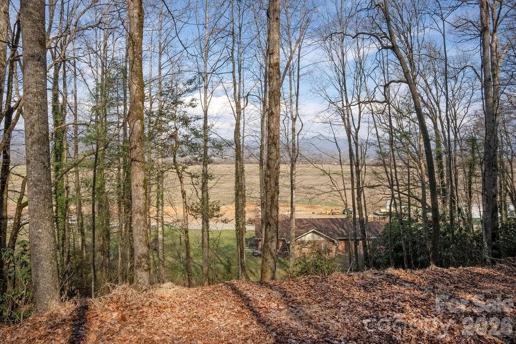 Lot at Pisgah Forest, photo 6 of 12