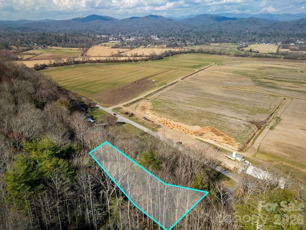 Lot at Pisgah Forest, photo 10 of 12