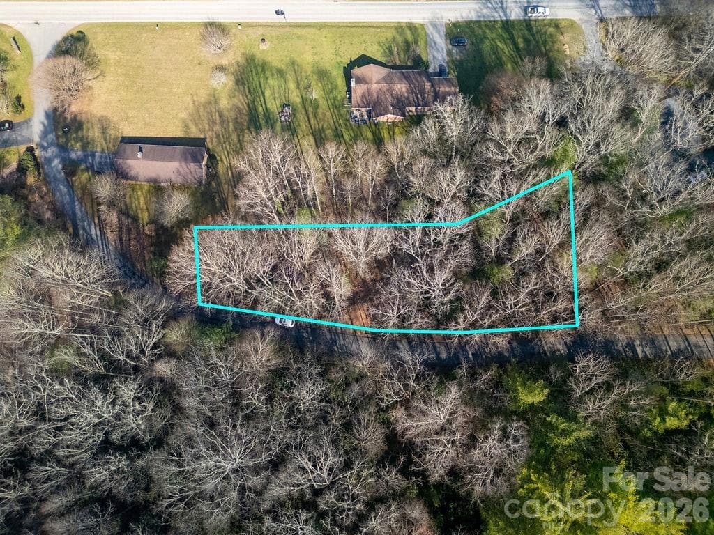 Lot at Pisgah Forest, photo 12 of 12